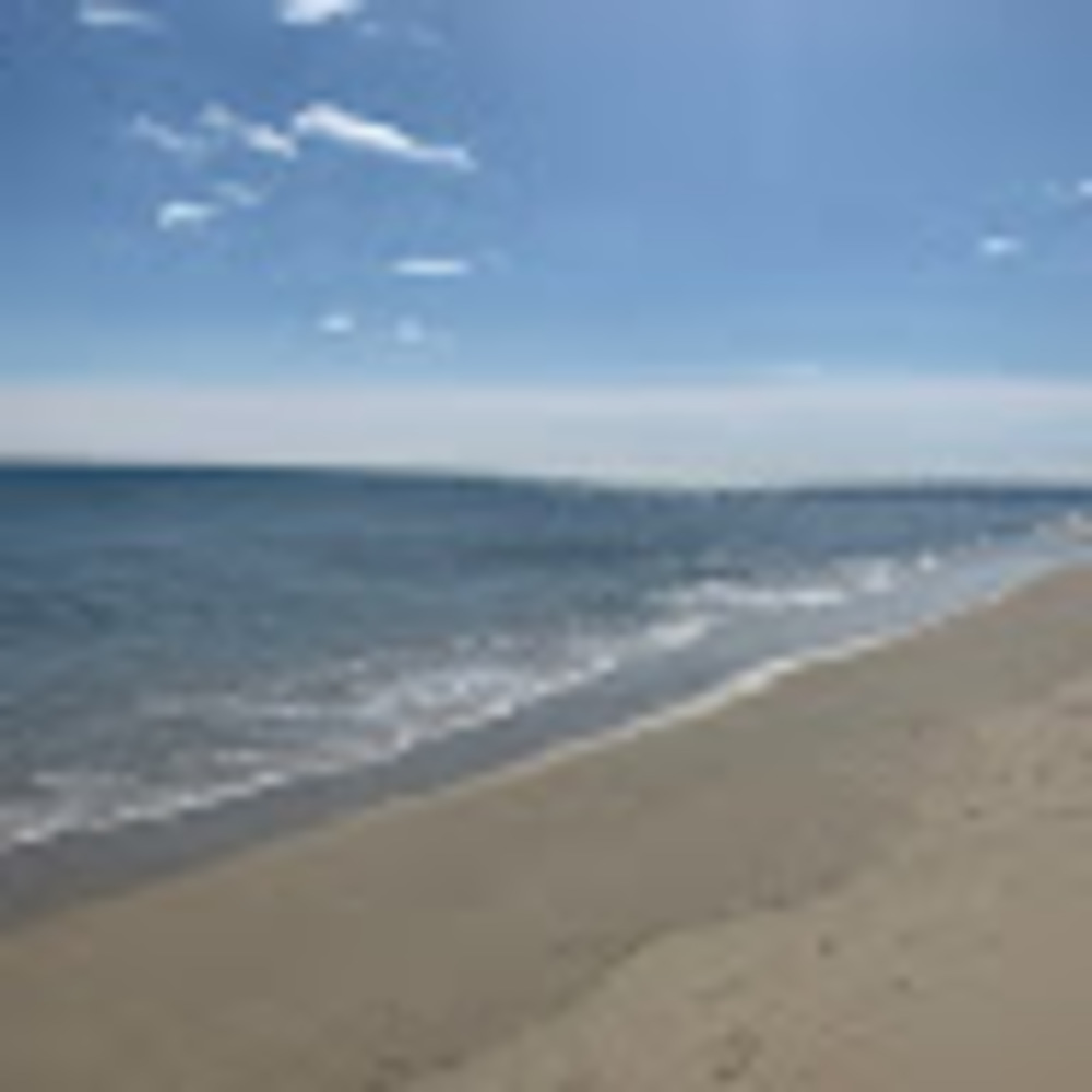 Meet your Posher, Bob